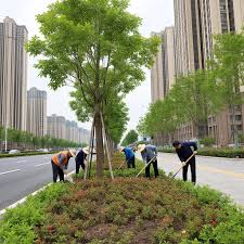 beat365官网 武汉城市绿化草坪公司地址